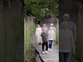 Тропы для прогулки на Селигере #отдых #глэмпинг #тверскаяобласть #лес #селигер