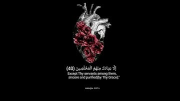 قران كريم حالات واتساب بصوت هزاع البلوشي