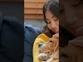 💤 Was, wenn dein Hund dir im Schlaf mehr über sich sagt als im Wachzustand?