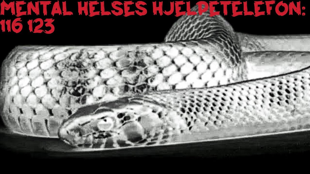 Legekontoret gir Faen - dikt