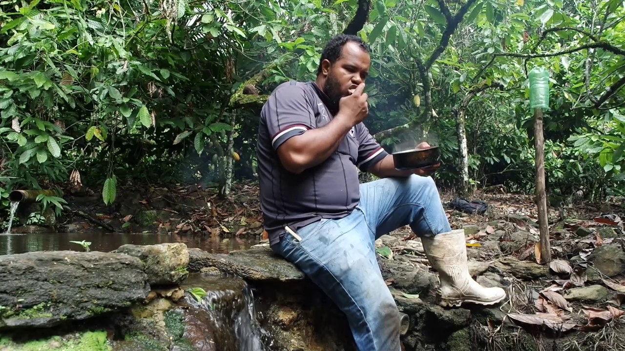 Primitive Atlantic Rainforest