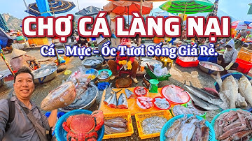 CHỢ CÁ LÀNG NẠI (Ninh Hải -Ninh Thuận) - Cá - Mực - Ốc Tươi Sống Giá Rẻ.