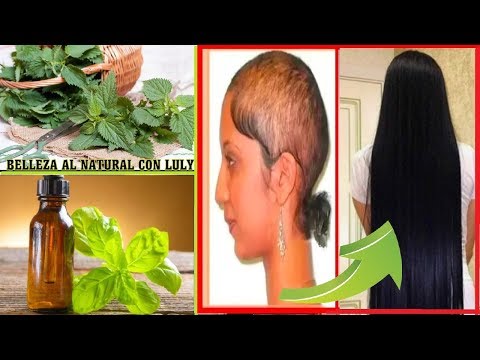 Vídeo: 19 Hierbas Para El Crecimiento Del Cabello