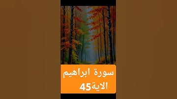 سورة ابراهيم#quran #دويتو #اكسبلور #صباح_الخير #دعاء #تيك_توك #دعاءمستجاب #حالات_واتس #فولو