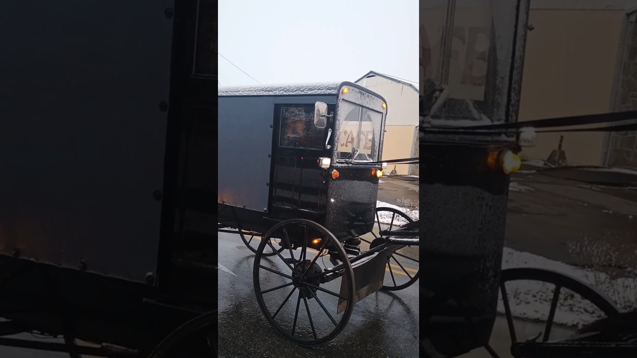 Amazing Amish Man Riding A Burggie on Traffic 🚦#art #amishlife