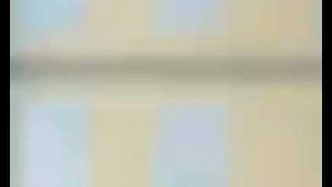 Zack And Quack Intro (Czech, LQ)