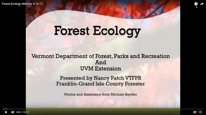 Forest Ecology with Nancy Patch