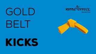 Gold Belt Kicks - Full Speed