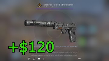 Weapon Case 1 Opening (Profit!!!)