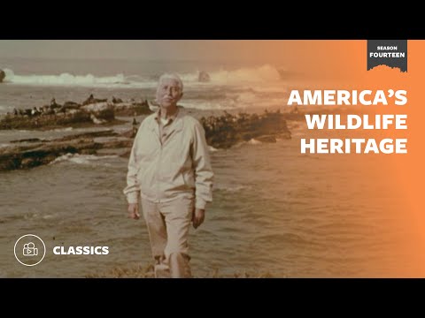 America's Wildlife Heritage | Mutual of Omaha's Wild Kingdom