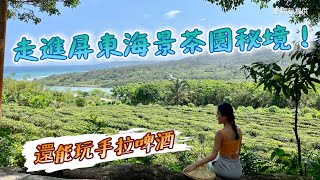 走進海景茶園秘境！屏東最寧靜的角落「港口村」 還能玩手拉 ... 