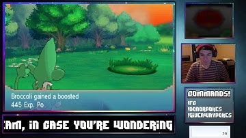 ORAS Shiny Hunting Livestream: Shiny Shellos Encounter (Highlight)