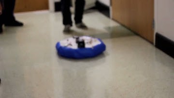 ENES100 - Team IDC - Hovercraft Milestone (go 15ft) completion