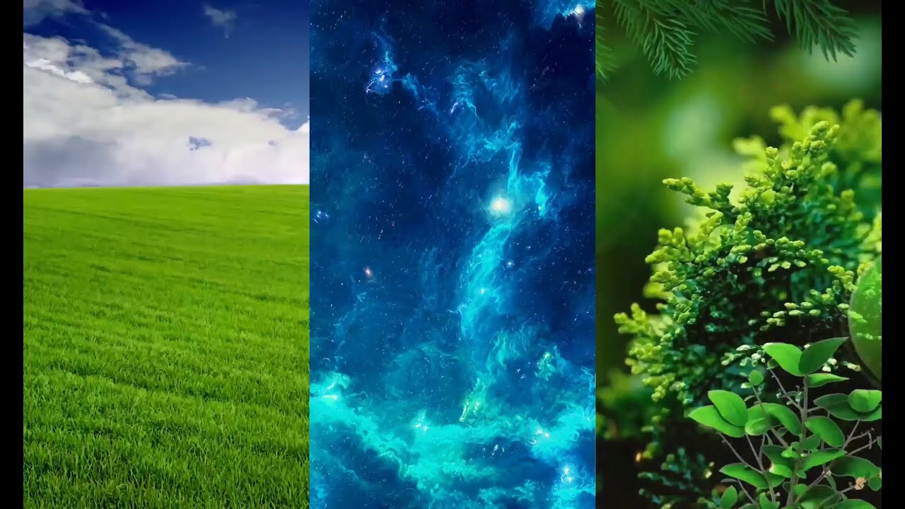 Live Wallpaper Collection: Top 3 Nature Live Wallpapers v200512 - YouTube