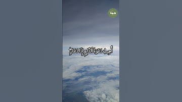 هذا ما يريده الله عزوجل من عباده المؤمنين / تلاوة تاخذك الى عالم اخر