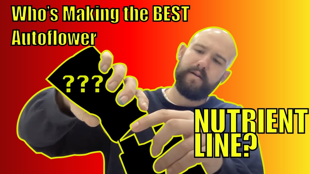 Speedrun Seeds LIVE (4/4/23) Autoflower Nutrition