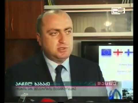 ერთი დღე აჭარის მთავრობის თავმჯდომარედ