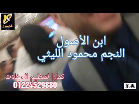 محمود الليثي ابن الأصول وفرقته ولعوها نار في ريحانه بلازا مع كمارا متعهد حفلات و فنانين 01224529880