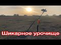 Разведка новых мест..... Коп на шикарном урочище