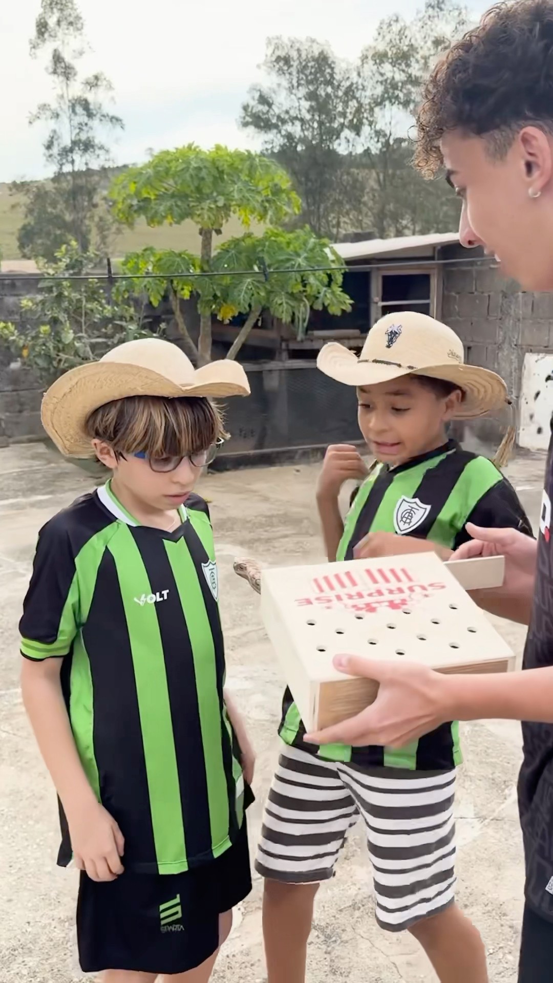 O AMENDOIM E O DAVI FORAM PICADOS POR UMA COBRA! ?