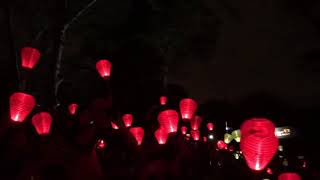 Light the night 2017