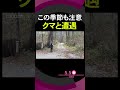 クマと遭遇 この季節も注意 Shorts