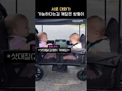 서로 대화가 가능하다는걸 깨달은 쌍둥이 thumbnail