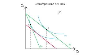 A.9 Efectos de renta y sustitución | Microeconomía - Consumo