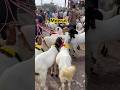 Goat #viralvideo #goat #azharvlogs #trendingshorts #animals #shortvideo #youtubeshorts #shorts #goat