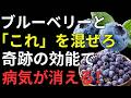 【医師が解説】ブルーベリーの効果を最大限に引き出す5つの食べ合わせ｜健康長寿・腸活・脳の健康・血糖値対策