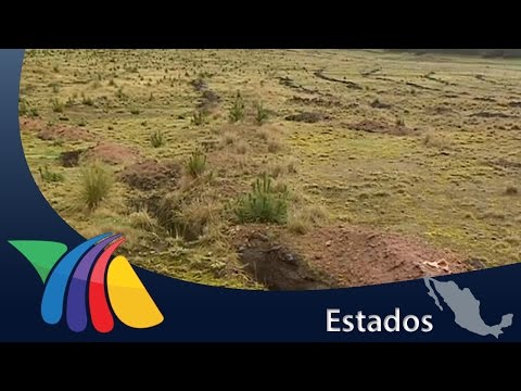 Video: ¿En qué estados es ilegal recolectar agua de lluvia?