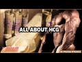 All About HCG | Ask the Anabolic Doc Ep. 66