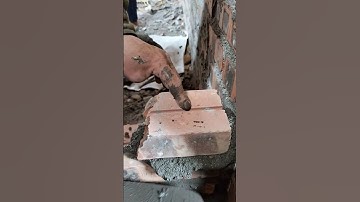 bác thợ có bàn tay khéo léo # shorts