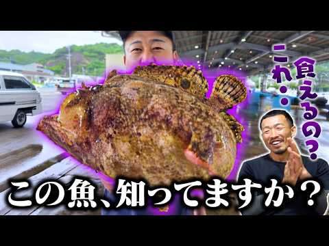 【このお魚な〜んだ？】え、肛門に変えるアンコウ…？兄貴違うよ！！