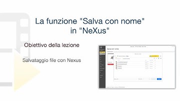 Tutorial NeXus - La funzione "Salva con nome" in "NeXus" - ACCA software