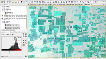 Random Forest Classification with SNAP: Monitoring Clear Cut using multitemporal Sentinel-1