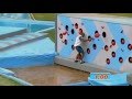 Total Wipeout - Series 4 Episode 9 (The Final: Champion of Champions)