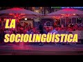 ¿QUÉ ES LA SOCIOLINGÜÍSTICA? (RAMAS DE LA LINGÜÍSTICA) (BIEN EXPLICADO) - WILSON TE EDUCA