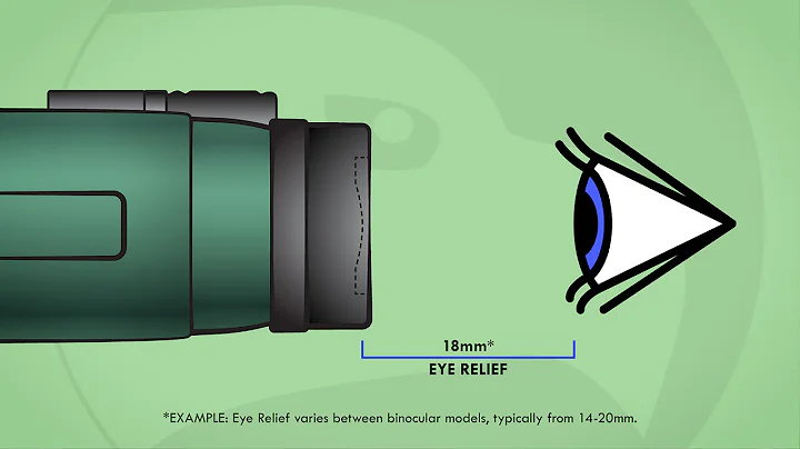 Understanding Binoculars: Eye Relief