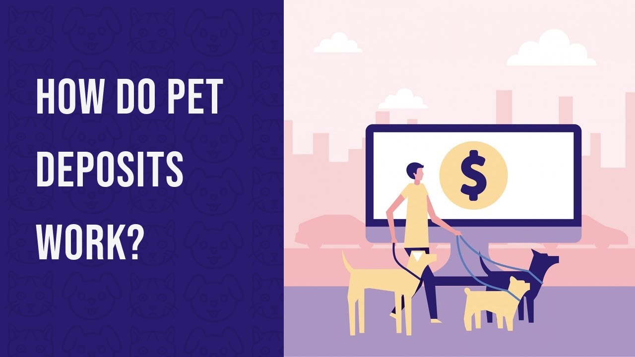 How Do Pet Deposits Work? YouTube