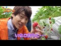 Huluオリジナル「だい!だい!だいすけおにいさん!!夏休み特別編」その3PR