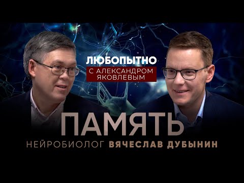 Человеческая Память. Как Она Устроена Как Тренировать Память Вячеслав Дубынин