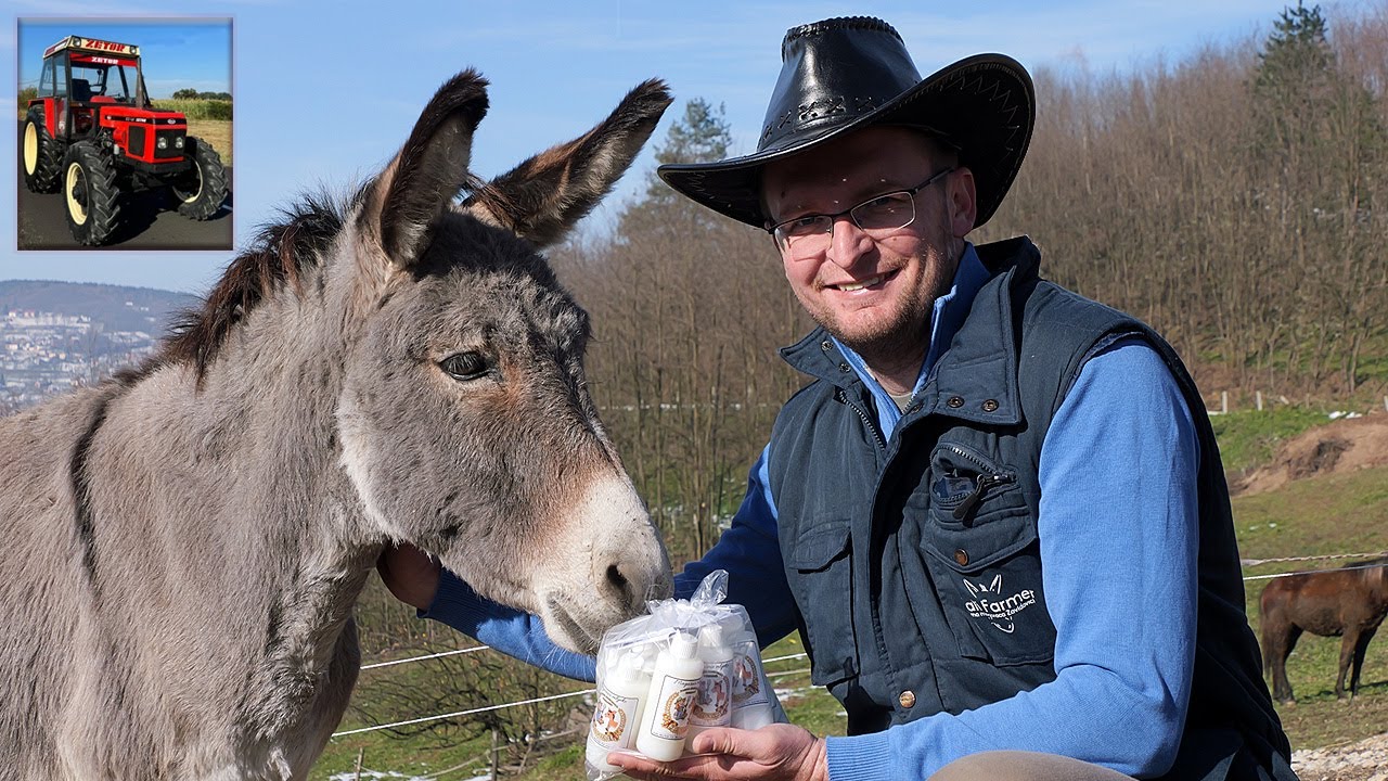 Magareće mlijeko iz Zavidovića uskoro u prahu i kapsulama