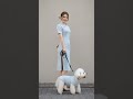 Rate our matching modern qipao look 1-10! ✨ #Shorts #dog