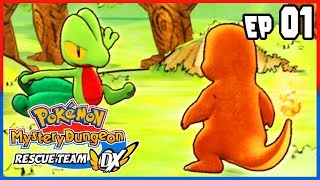 Various Playthroughs (NS)