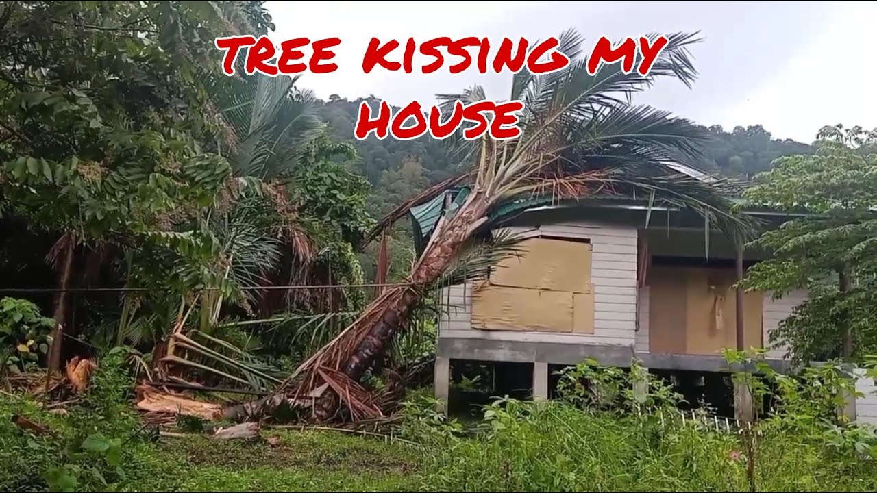 STORM DAMAGE + DIY REPAIR || monsoon activity