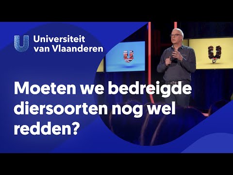 Video: Bedreigde diersoorten: een lijst, hoe te redden?