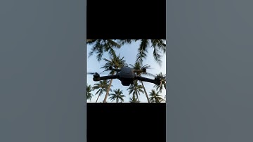 Drone hits coconut tree  #videodrone #drone #aivideo #shorts