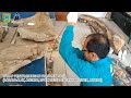 PROSES KONSERVASI CRANIUM STEGODON (TENGKORAK GAJAH PURBA) MUSEUM SITUS PURBAKALA PATIAYAM