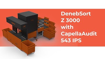 DenebSort Z 3000 with CapellaAudit 543 IPS | Dual induct ZigZag Sorter | Z Type Sorting